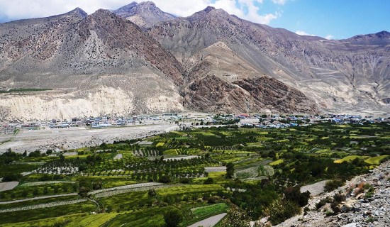 शवयात्राको कथा : चिसो मान्छे