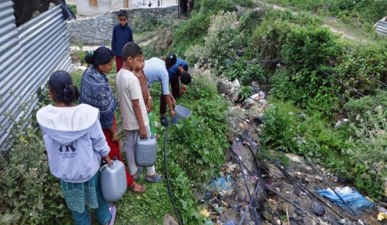 किड्स च्याम्पियन सम्पन्न
