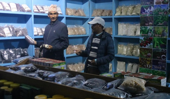 जुम्लाबाट लाखौँको अर्गानिक खाद्य वस्तु निर्यात