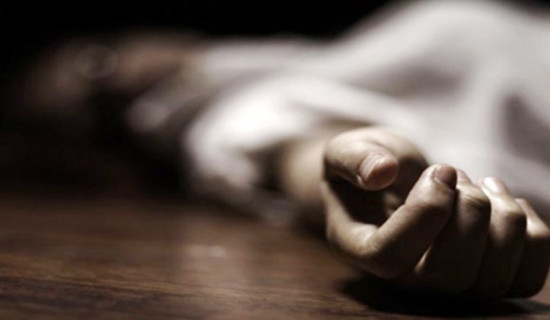 पुलबाट खसेर युवकको मृत्यु