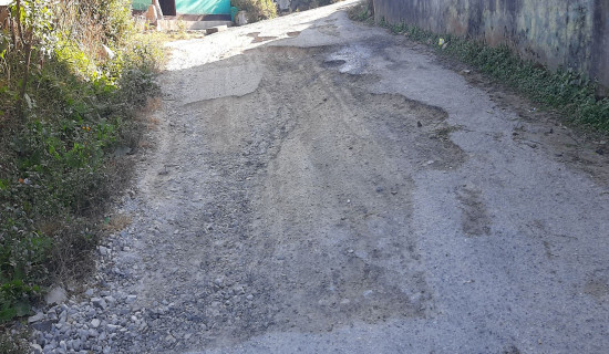 विद्युत् चोकमा सडक कालोपत्रे हुने