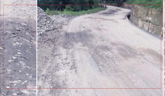 सडक निर्माणमा सिमेन्टको प्रयोगको मात्र कम भएको भन्दै बढाउन निर्देशन