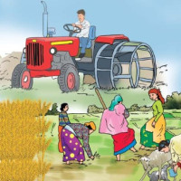 व्यावसायिक ड्रागन फ्रुटको खेती