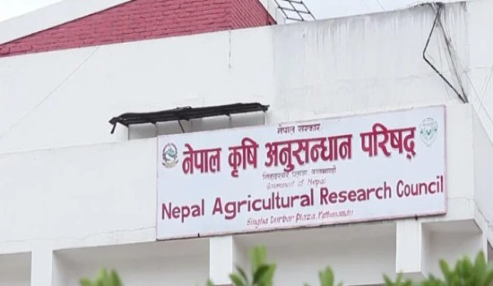 उपलब्धिहीन नार्क, तत्काल सुधार गर्न सुझाव