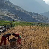 पहिरोको जोखिममा सदरमुकाम मान्म