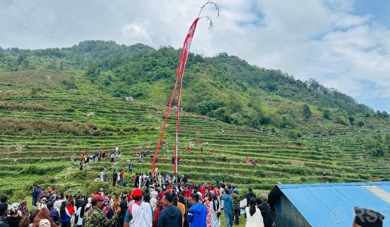 कान्छी गाउँ विजयी