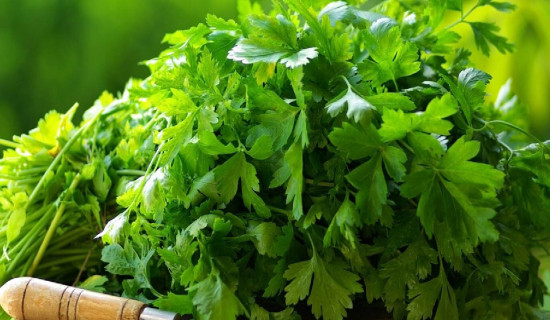धनियाँमा अत्यधिक विषादी