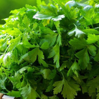 किसानलाई बर्डफ्लुबाट भएको क्षतिपूर्ति दिन मन्त्रालय तयारी गर्दैछः मन्त्री साह