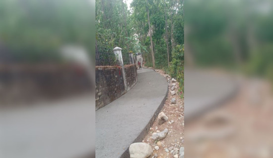 काँक्रेविहारमा अपाङ्गतामैत्री पैदलमार्ग
