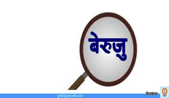 स्थानीय तहको बेरुजु साढे दुई अर्ब