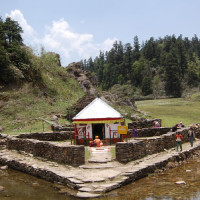 लिम्बू भाषा