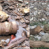 पत्रकार कुँवर सम्मानित
