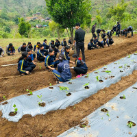 पत्रकार कुँवर सम्मानित