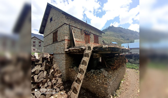 यार्चा टिप्न स्थानीय लागे पाटनतिर