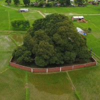 भुक्तानी नपाएपछि पुलको काम ठप्प
