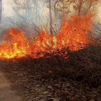 छोरीको शव ल्याउन भौँतारिरहेकी ७० वर्षीया आमा