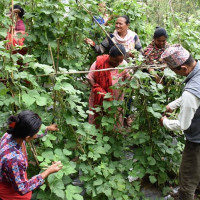 जनप्रतिनिधिको विवादले विकास ठप्प