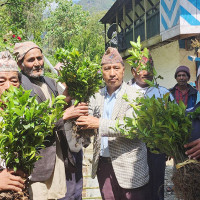 वर्षाका कारण सडक बिग्रिँदा नागरिकलाई सास्ती
