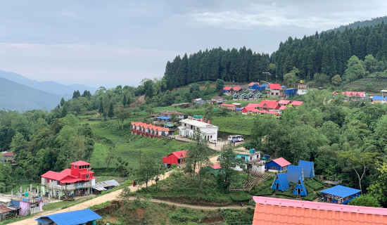 अन्तुका सुन्दर होमस्टे र होटल