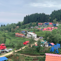 ताँजाकोटमा औंलो र कालाजारका बिरामी भेटिए