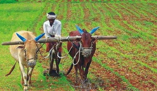 लोक सेवा आयोग तयारीका लागि बस्तुगत प्रश्नोत्तर