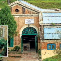 कोशीमा हाम फालेकी महिलाको उद्धार