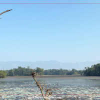 साताका सात तस्बिर