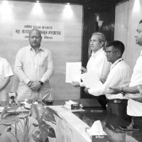 आँप उत्पादन बढ्ने