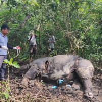 हल्लाप्रति नेपाली कांग्रेसको आपत्ति