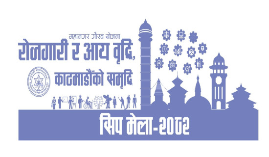 राजनीतिक दलसम्बन्धी ऐनमा फरक सुझाव