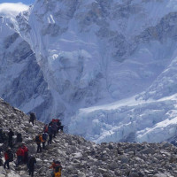 विषादि प्रयोग गर्ने किसानको अनुदान रोकिने