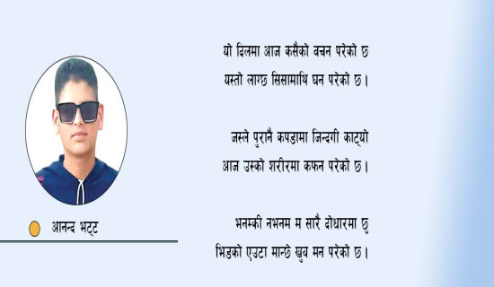 बजेटबारे योजना आयोगका उपाध्यक्ष र राष्ट्र बैङ्कका गभर्नरसँग परामर्श