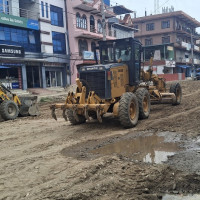 अरूलाई सिप सिकाउँदै क्यान्सरपीडित रत्ना
