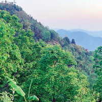 तोकिएकै समयमा स्थानीय तह निर्वाचन अपरिहार्य : अध्यक्ष ओली