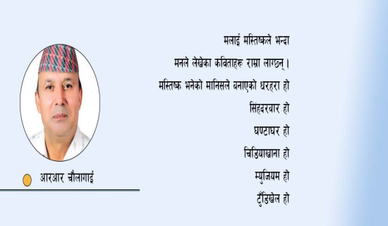 कविता लेख्न बस्दा (कविता)