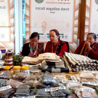 सुरक्षित आप्रवासन परियोजना प्रभावकारी बनाइने