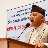 दलितलाई अछुत भन्छन्, अछुत त भ्रष्टचारी हुन् : सांसद छिरिङ डम्डुल लामा