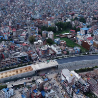 हिउँदे बालीलाई तेलारी
