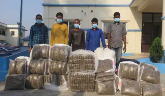 मोरङमा ठुलो परिमाणमा लागु औषधसहित सयौं पक्राउ