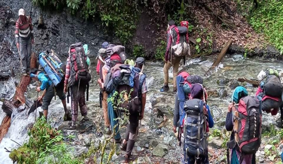 यार्सा संकलन गर्ने समूहको झडप रोक्न डोल्पामा दुई राउण्ड हवाई फायर