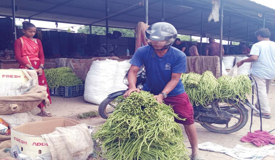 तरकारीमा आफूखुसी विषादी प्रयोग