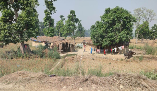 चौबीस वर्षदेखि न्यायको पखाईमा शुक्लाफाँटा आरक्ष विस्थापित
