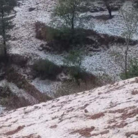 बङ्गलादेशी कम्पनीले गर्दै छ नेपाली बैङ्कको लेखा परीक्षण