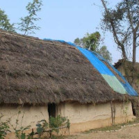 बङ्गलादेशी कम्पनीले गर्दै छ नेपाली बैङ्कको लेखा परीक्षण