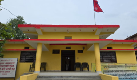 तरकारीमा आफूखुसी विषादी प्रयोग