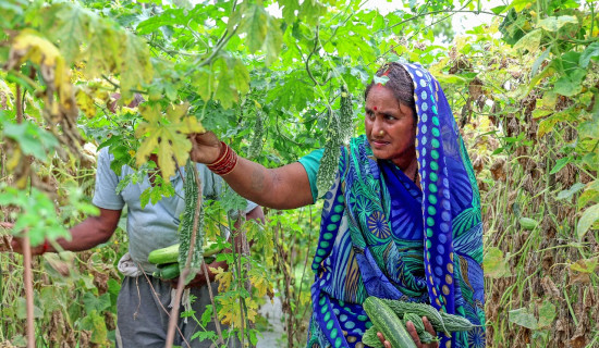 पानी भन्दा सस्तो मूल्यमा तरकारी