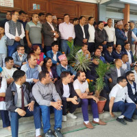 राजनीतिक दलसम्बन्धी ऐनमा फरक सुझाव