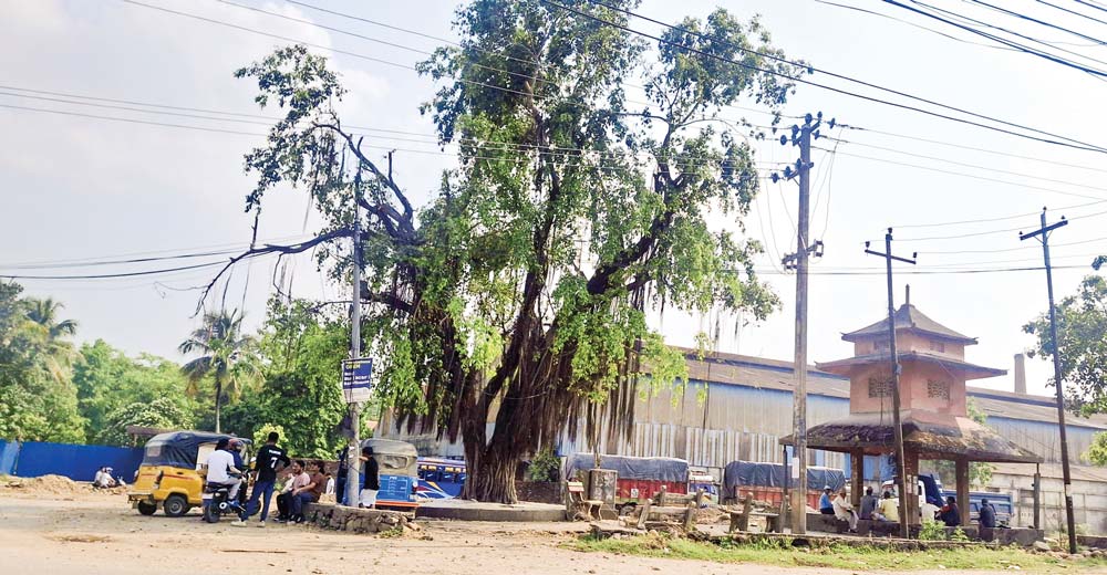 चौतारो जोगाउन डिपिआर संशोधन