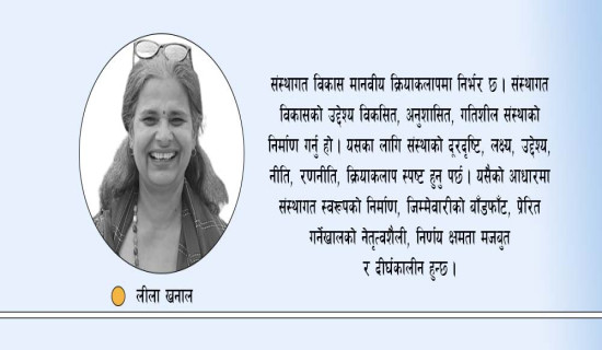 उत्प्रेरणाले संस्थागत विकास
