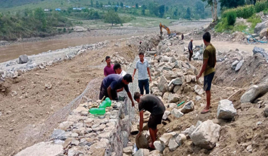 लगानी बोर्डको व्यावसायिक रणनीति स्वीकृत